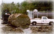 Tank Removal